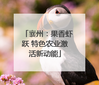 襄州：果香虾跃 特色农业激活新动能