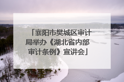 襄阳市樊城区审计局举办《湖北省内部审计条例》宣讲会