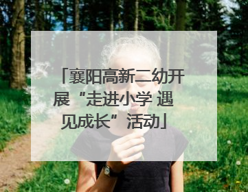 襄阳高新二幼开展“走进小学 遇见成长”活动