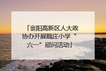 襄阳高新区人大政协办开展魏庄小学“六一”慰问活动