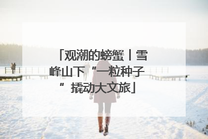 观潮的螃蟹丨雪峰山下“一粒种子”撬动大文旅