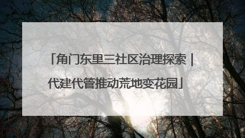 角门东里三社区治理探索｜代建代管推动荒地变花园