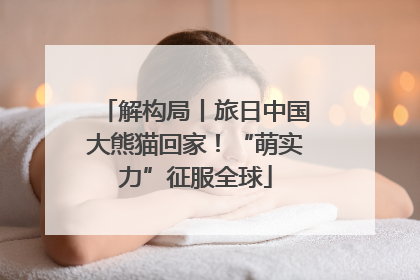 解构局丨旅日中国大熊猫回家！“萌实力”征服全球