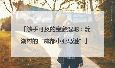 触手可及的宝藏湿地：淀湖村的“魔都小亚马逊”