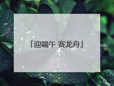 迎端午 赛龙舟