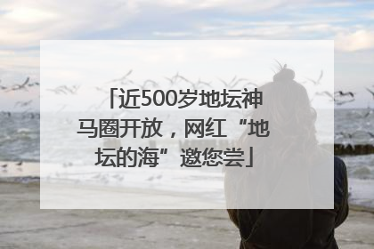 近500岁地坛神马圈开放，网红“地坛的海”邀您尝