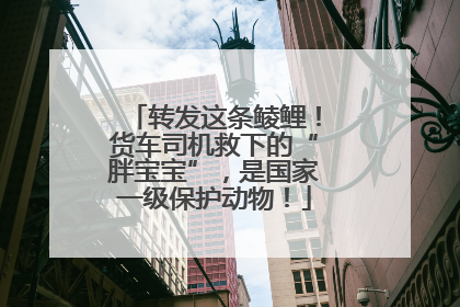 转发这条鲮鲤！货车司机救下的“胖宝宝”，是国家一级保护动物！