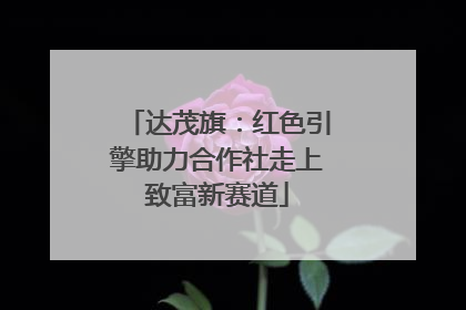达茂旗：红色引擎助力合作社走上致富新赛道