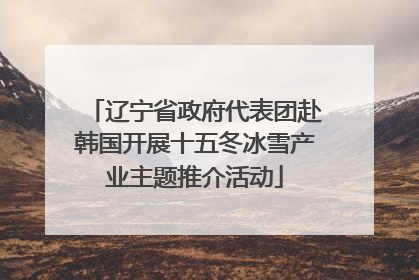 辽宁省政府代表团赴韩国开展十五冬冰雪产业主题推介活动