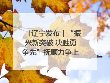 辽宁发布｜“振兴新突破 决胜勇争先”抚顺力争上半年地区生产总值增长7%左右