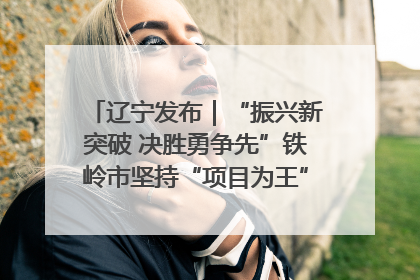 辽宁发布｜“振兴新突破 决胜勇争先”铁岭市坚持“项目为王”推进经济高质量发展
