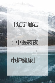 辽宁岫岩：中医药夜市护健康
