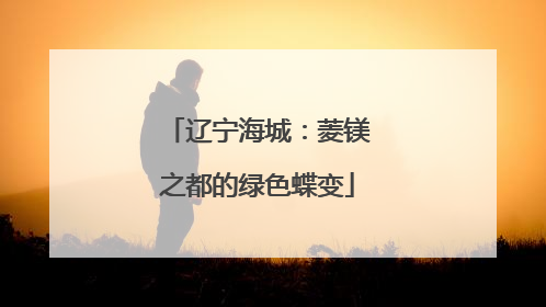 辽宁海城：菱镁之都的绿色蝶变