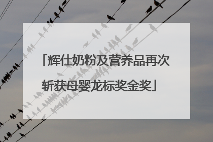 辉仕奶粉及营养品再次斩获母婴龙标奖金奖