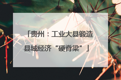 贵州：工业大县锻造县域经济“硬脊梁”