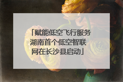 赋能低空飞行服务 湖南首个低空智联网在长沙县启动