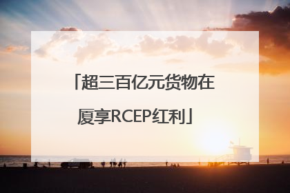 超三百亿元货物在厦享RCEP红利