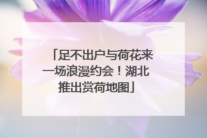 足不出户与荷花来一场浪漫约会！湖北推出赏荷地图