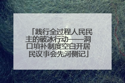践行全过程人民民主的破冰行动——洞口填补制度空白开居民议事会先河侧记