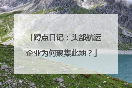 蹲点日记：头部航运企业为何聚集此地？