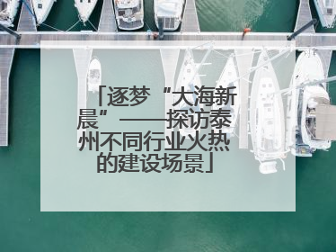 逐梦“大海新晨”——探访泰州不同行业火热的建设场景