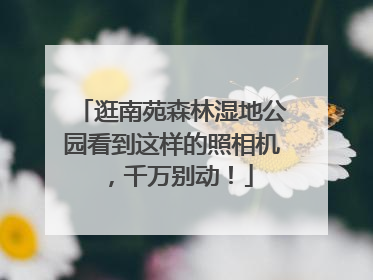 逛南苑森林湿地公园看到这样的照相机，千万别动！