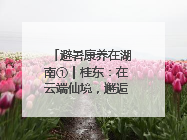 避暑康养在湖南①｜桂东：在云端仙境，邂逅一场清凉之约
