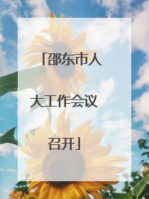 邵东市人大工作会议召开