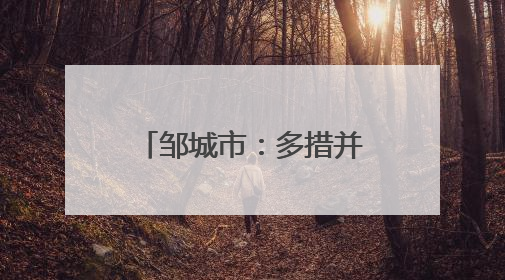 邹城市：多措并举以数据赋能绿色低碳高质量政务服务新模式
