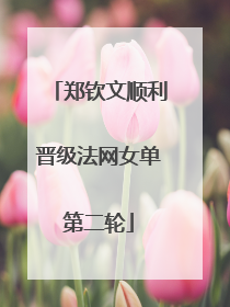 郑钦文顺利晋级法网女单第二轮