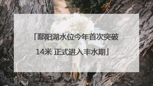 鄱阳湖水位今年首次突破14米 正式进入丰水期