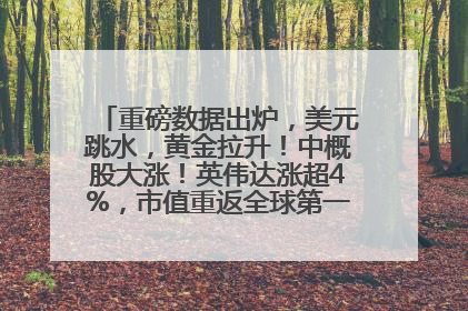 重磅数据出炉，美元跳水，黄金拉升！中概股大涨！英伟达涨超4%，市值重返全球第一！黄仁勋计划出售至多600万股股票