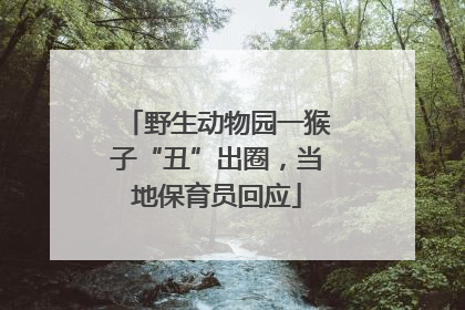 野生动物园一猴子“丑”出圈，当地保育员回应