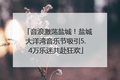 音浪激荡盐城！盐城大洋湾音乐节吸引5.4万乐迷共赴狂欢