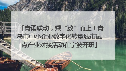 青甬联动，乘“数”而上！青岛市中小企业数字化转型城市试点产业对接活动在宁波开班