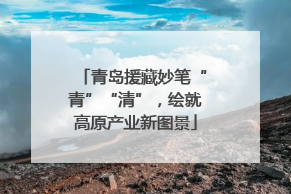 青岛援藏妙笔“青”“清”，绘就高原产业新图景