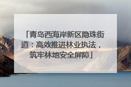 青岛西海岸新区隐珠街道：高效推进林业执法，筑牢林地安全屏障