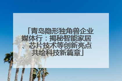 青岛隐形独角兽企业媒体行：揭秘智能家居、芯片技术等创新亮点 共绘科技新篇章