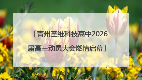 青州圣维科技高中2026届高三动员大会燃情启幕