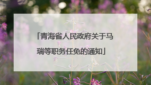 青海省人民政府关于马瑞等职务任免的通知