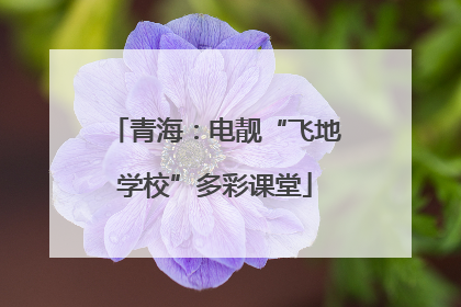 青海：电靓“飞地学校”多彩课堂