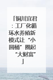 铜川宜君：工厂化循环水养殖新模式让“小圆桶”圈起“大财富”