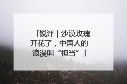 锐评｜沙漠玫瑰开花了，中国人的浪漫叫“担当”