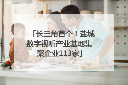 长三角首个！盐城数字视听产业基地集聚企业113家