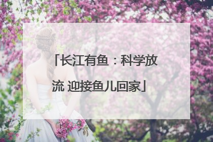 长江有鱼：科学放流 迎接鱼儿回家