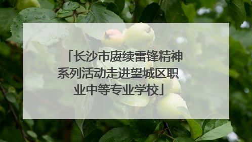 长沙市赓续雷锋精神系列活动走进望城区职业中等专业学校