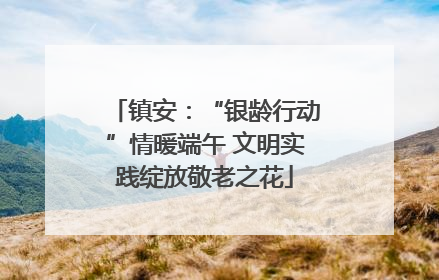 镇安：“银龄行动”情暖端午 文明实践绽放敬老之花