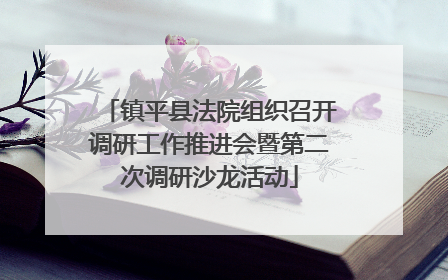 镇平县法院组织召开调研工作推进会暨第二次调研沙龙活动