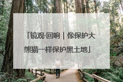 镜观·回响｜像保护大熊猫一样保护黑土地