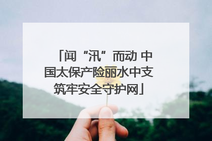 闻“汛”而动 中国太保产险丽水中支筑牢安全守护网